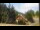 Webcam in Crévoux, 7.4 km