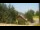 Webcam in Crévoux, 18.9 km