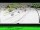 Webcam in Les Houches, 5.5 km entfernt