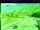 Webcam in Les Houches, 4.8 km