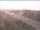 Webcam in Mions, 56.8 km