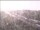 Webcam in Mions, 13.4 km