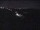 Webcam in Mions, 13.4 km entfernt