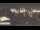 Webcam in Hamburg, 0.7 km entfernt