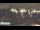 Webcam in Hamburg, 1.2 mi away