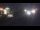 Webcam in Saint-Maurice-de-Beynost, 10.2 mi away