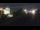Webcam in Saint-Maurice-de-Beynost, 26.3 km entfernt