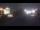 Webcam in Saint-Maurice-de-Beynost, 6.6 mi away