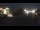 Webcam in Saint-Maurice-de-Beynost, 39.7 km
