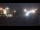 Webcam in Saint-Maurice-de-Beynost, 1.8 mi away