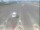 Webcam in Coutevroult, 35.6 km entfernt