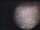 Webcam in Saint-Priest, 10.2 mi away