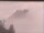 Webcam in Bonneval-sur-Arc, 2.1 mi away