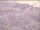 Webcam in Bonneval-sur-Arc, 5.6 km