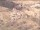 Webcam in Bonneval-sur-Arc, 0 km entfernt