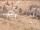 Webcam in Bonneval-sur-Arc, 0 mi away