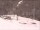 Webcam in Bonneval-sur-Arc, 0 mi away