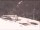 Webcam in Bonneval-sur-Arc, 0 km