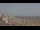 Webcam in Les Sables-d'Olonne, 15.7 km entfernt
