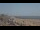 Webcam in Les Sables-d’Olonne, 10.8 km