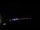 Webcam in Sarasota, Floride, 4.5 km