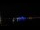 Webcam in Sarasota, Florida, 12.5 km