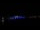 Webcam in Sarasota, Florida, 27.3 mi away