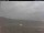 Webcam in Las Puntas (El Hierro), 1450.4 km