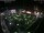 Webcam in León de los Aldamas, 326.3 km entfernt
