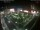 Webcam in León de los Aldamas, 185.3 km entfernt