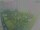 Webcam in León de los Aldamas, 365.9 mi away