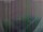 Webcam in León de los Aldamas, 324.8 km entfernt