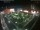 Webcam in León de los Aldamas, 71.5 mi away