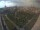 Webcam in León de los Aldamas, 122.8 mi away