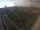 Webcam in León de los Aldamas, 413.5 km entfernt