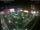 Webcam in León de los Aldamas, 326.3 km entfernt