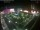 Webcam in León de los Aldamas, 220.8 km entfernt