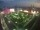 Webcam in León de los Aldamas, 79.3 mi away