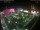 Webcam in León de los Aldamas, 322.9 km entfernt