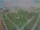 Webcam in León de los Aldamas, 375.2 km entfernt