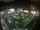 Webcam in León de los Aldamas, 526.4 km