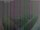 Webcam in León de los Aldamas, 190.8 km entfernt