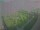 Webcam in León de los Aldamas, 88.5 mi away