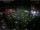 Webcam in León de los Aldamas, 445.2 km