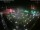 Webcam in León de los Aldamas, 269.7 km