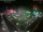 Webcam in León de los Aldamas, 324.8 km