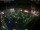 Webcam in León de los Aldamas, 318.4 km entfernt