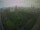 Webcam in León de los Aldamas, 365.8 mi away