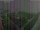 Webcam in León de los Aldamas, 81.5 mi away