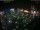 Webcam in León de los Aldamas, 138.6 mi away